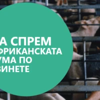 Кампания „Да спрем Африканската чума по свинете“ 2023 г.
